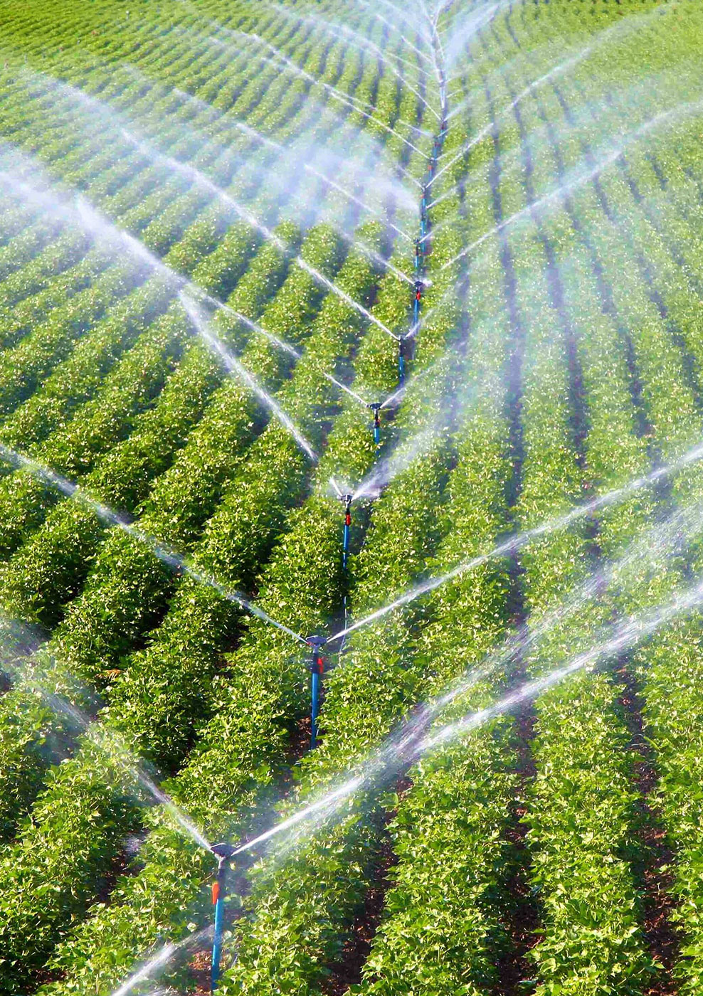 Özyıl Otomatik Sulama Elektrik