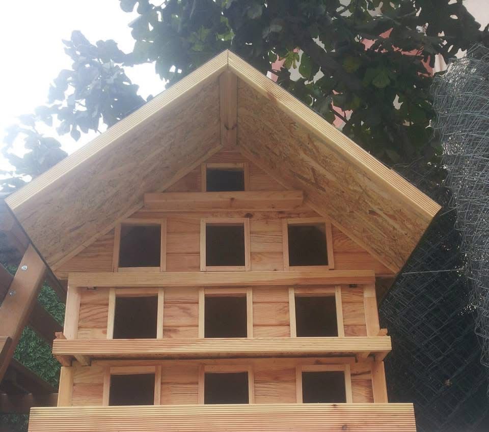 Ceyhun Orman Ürünleri