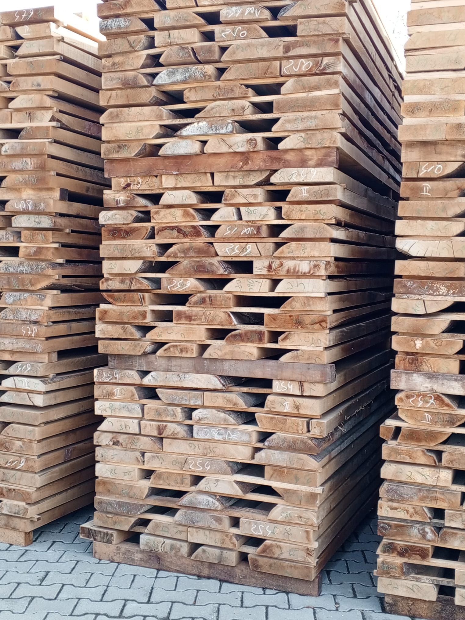 Ceyhun Orman Ürünleri