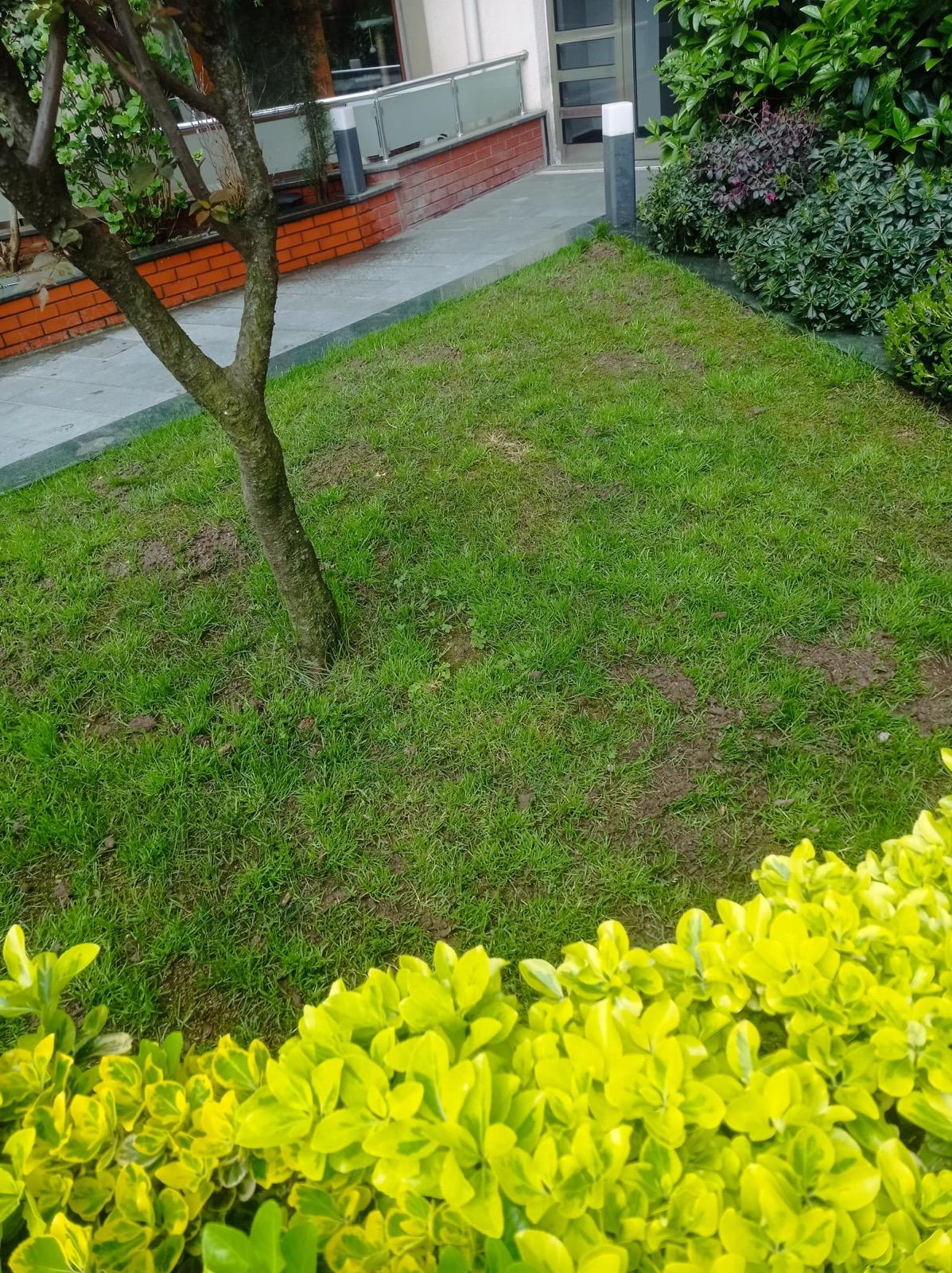 GÜNEŞ TARIM PEYZAJ VE TEMİZLİK