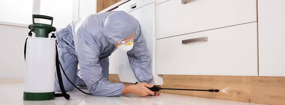 Ünver Cleaning Temizlik