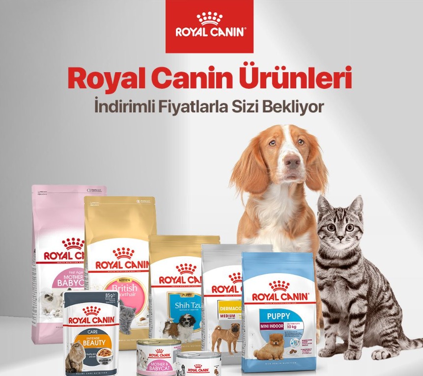 Kayın Pet Shop Pet Kuaför