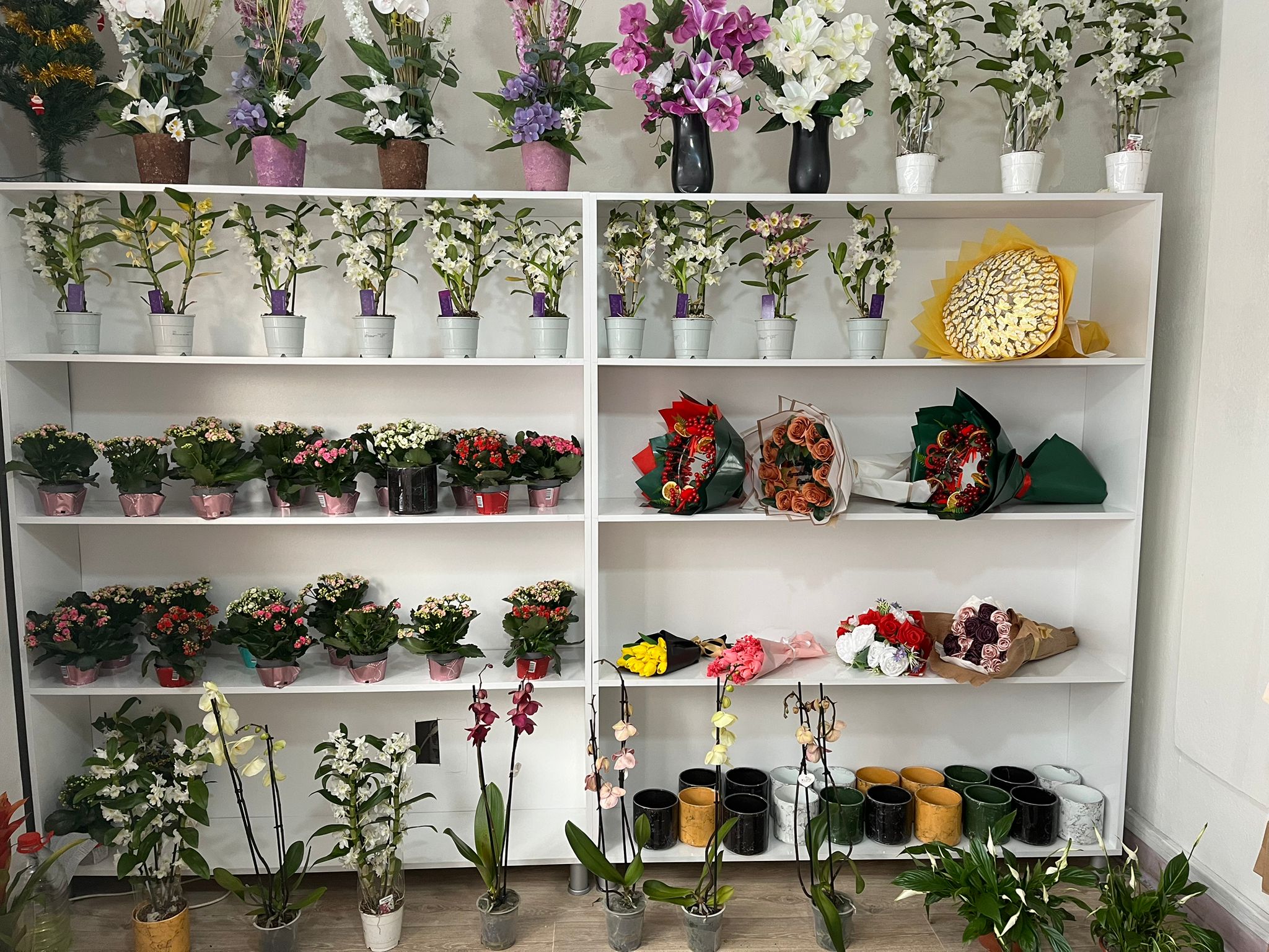 Damla Çiçek Dünyası