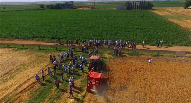 Ulu Kardeşler Her Türlü Bağ ve Bahçe Tarla İşleri
