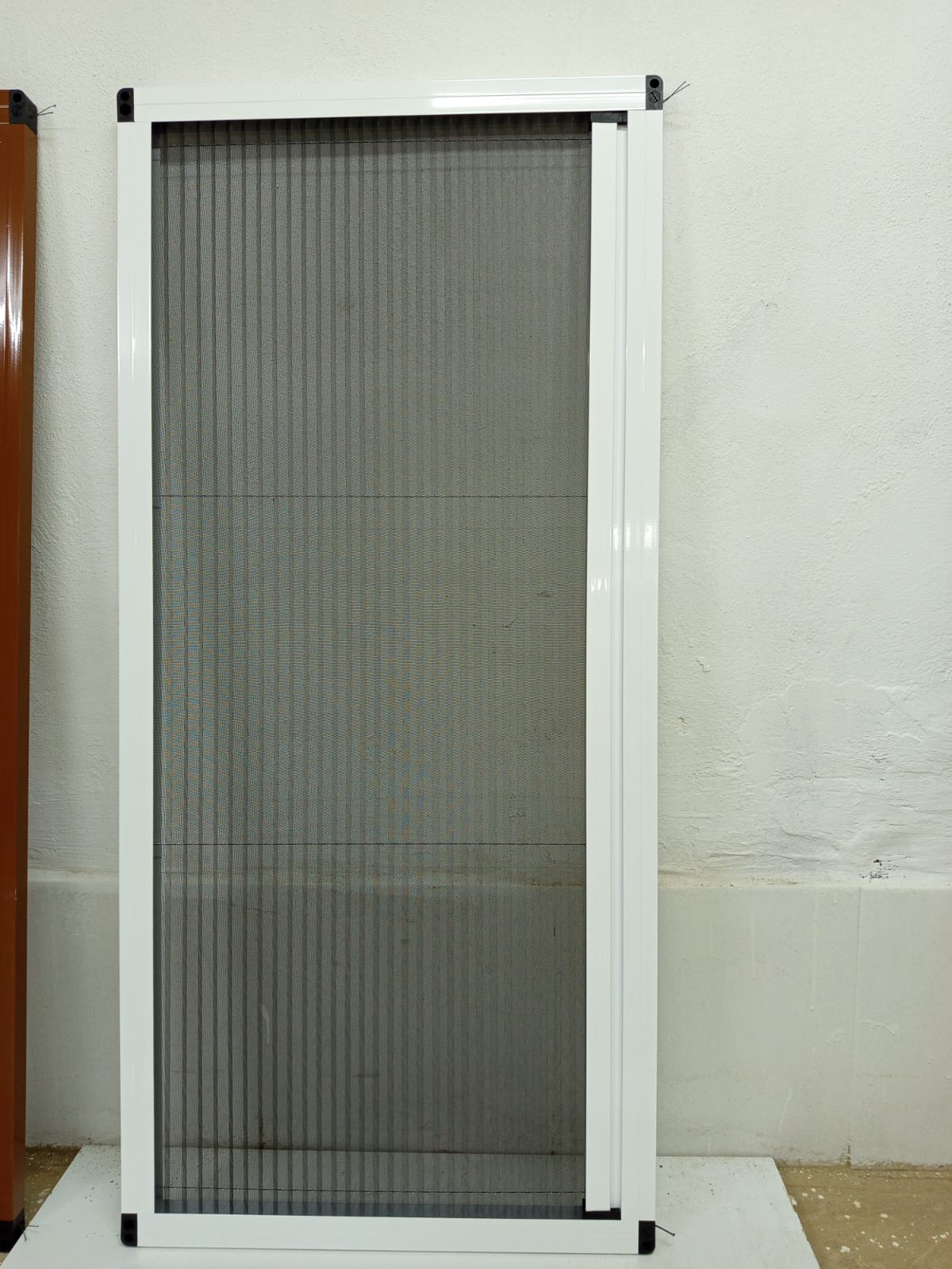 Mercan Sineklik