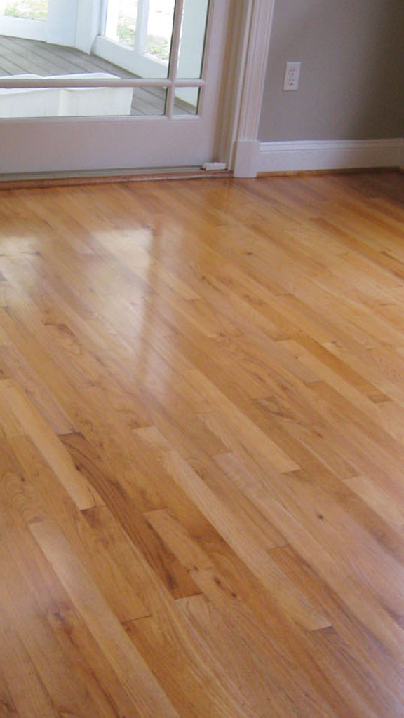 Sistre Cila Bakım Merkezi