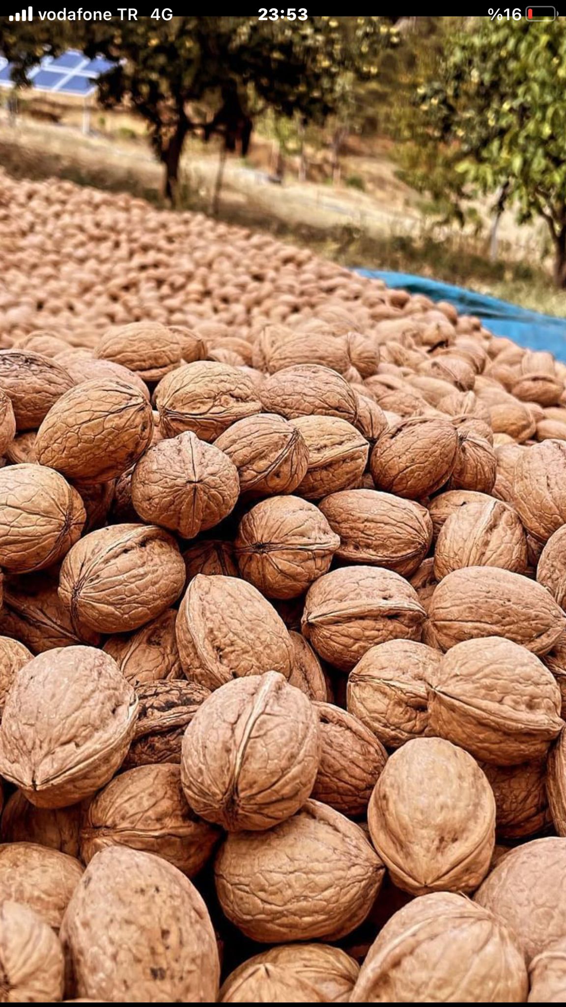 Mis Kuruyemiş & Şarküteri