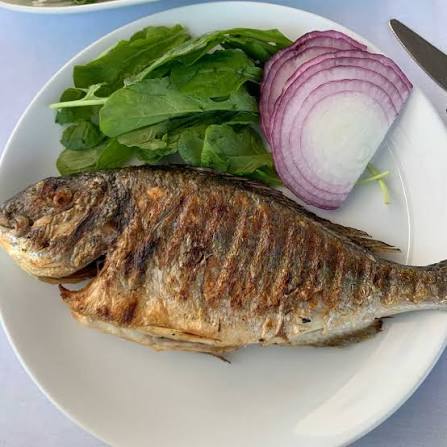 Ada Balıkçılık