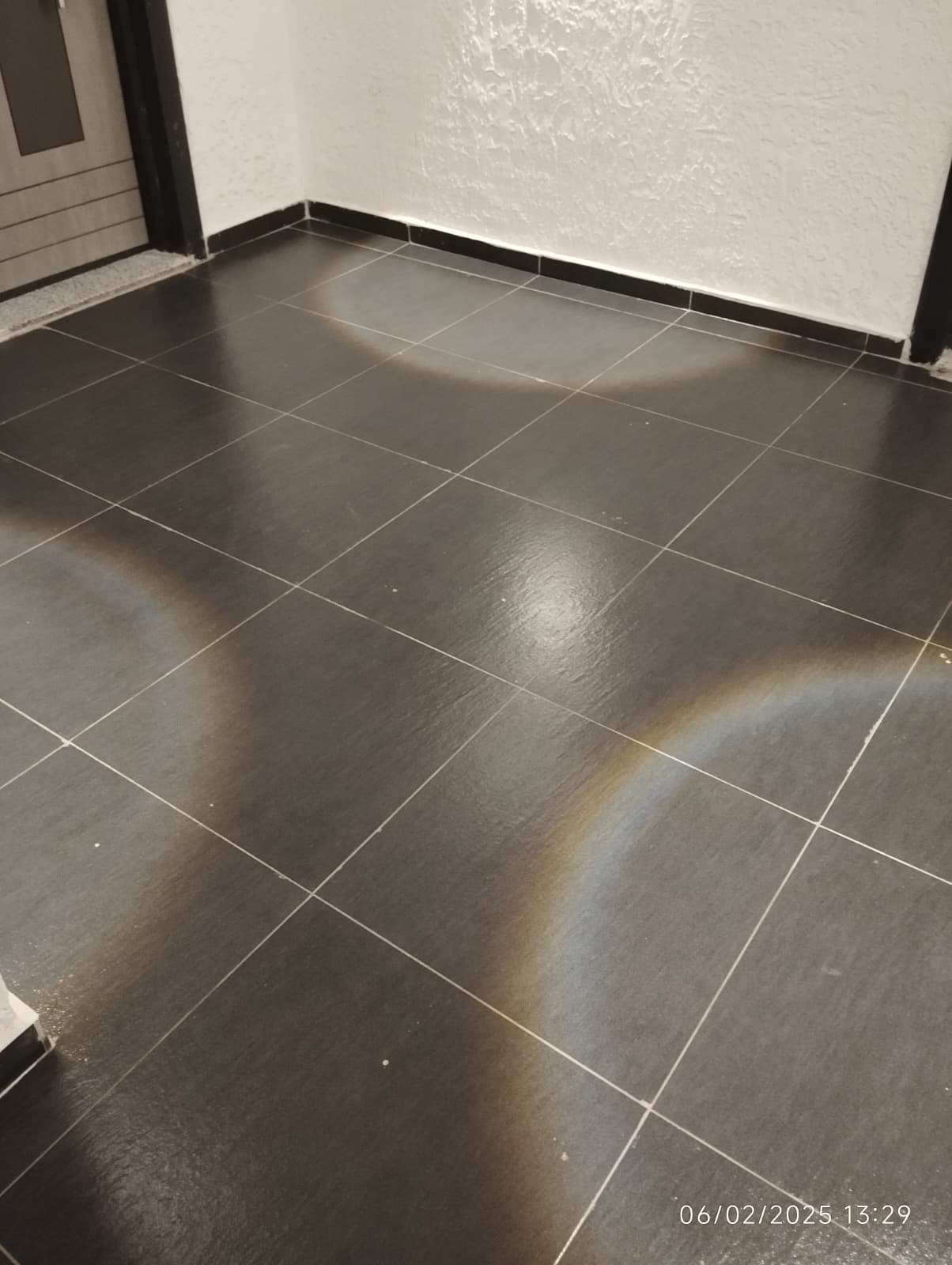 Ceylan Bina Yönetimi