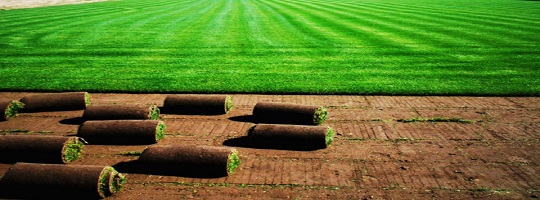 Çelik Taş Çevre Düzenleme