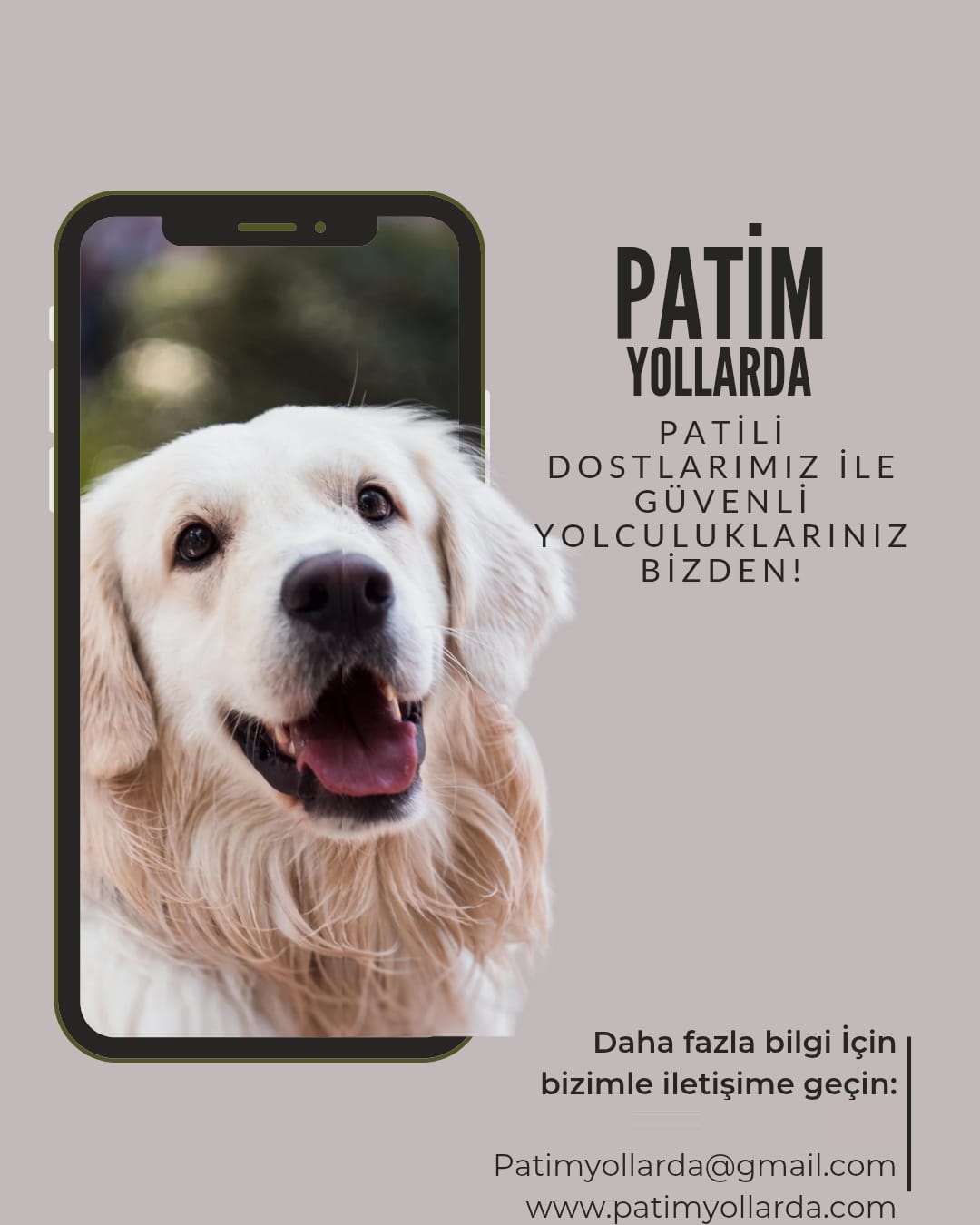 Patim Yollarda Pet Taksi