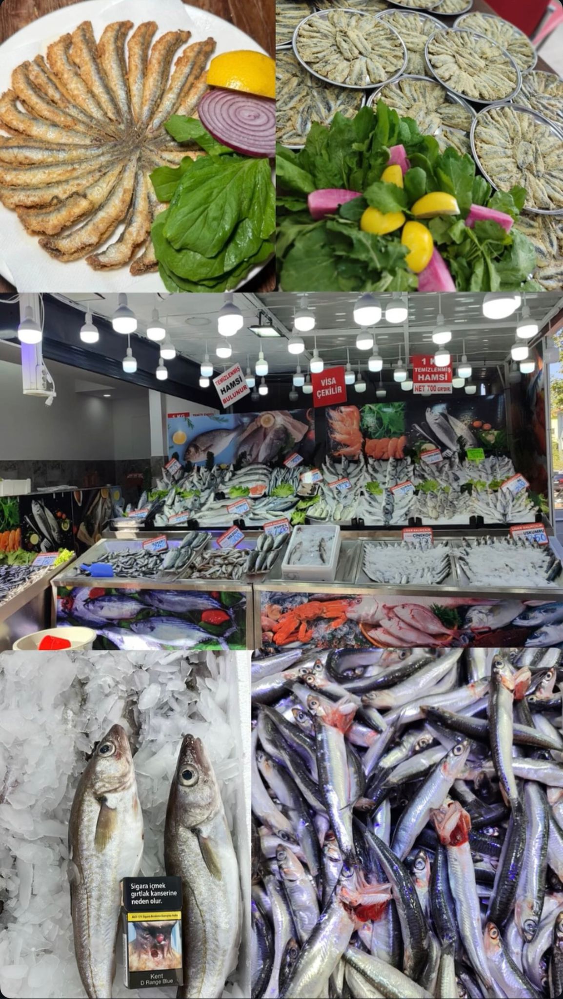 Lider Balıkçılık