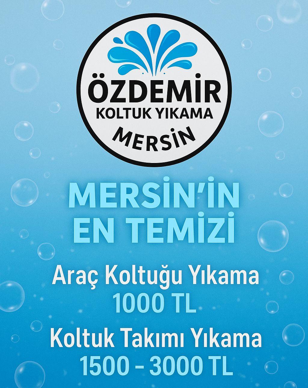 Özdemir Koltuk Yıkama & Taksi Hizmeti