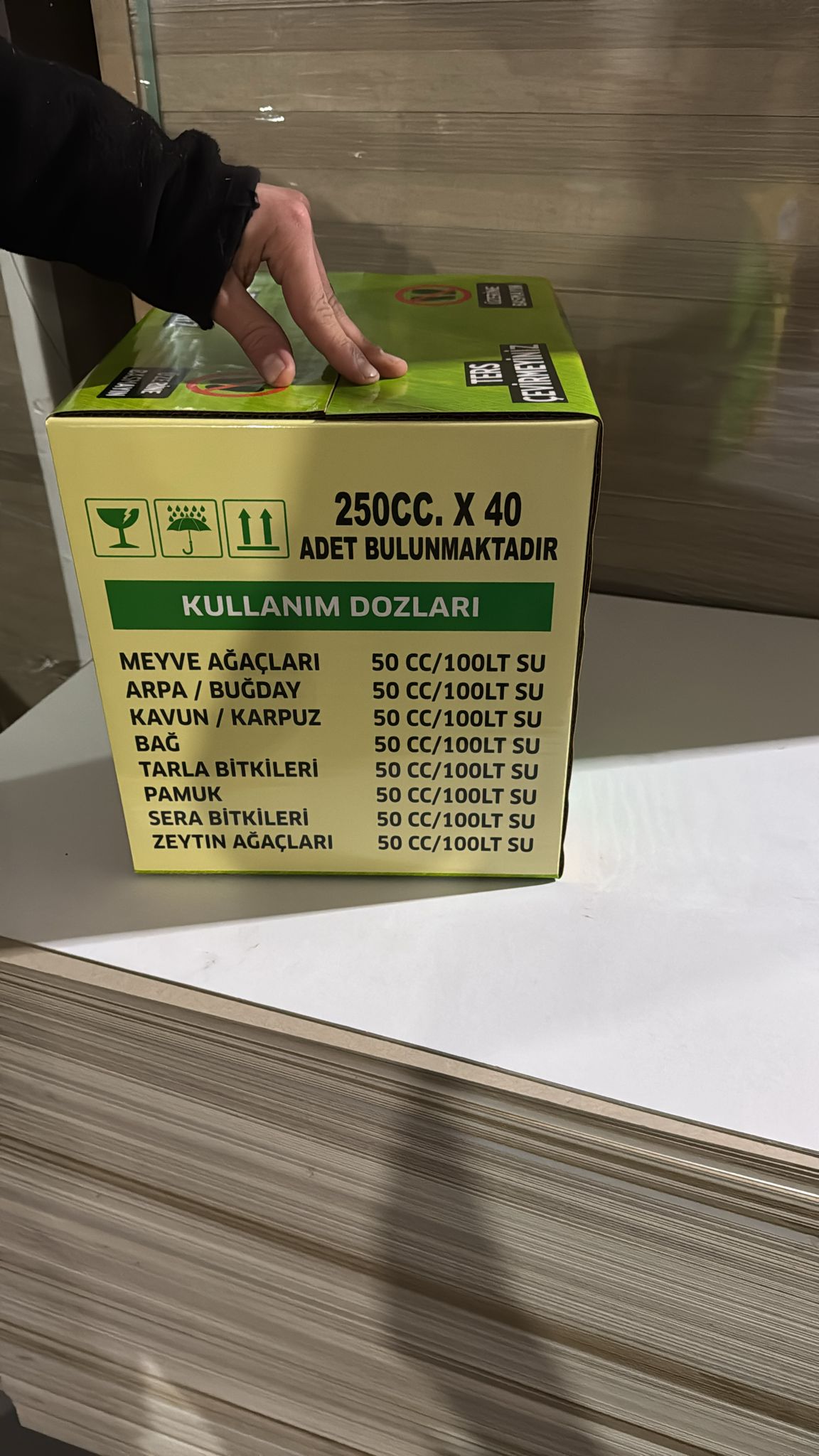 Başkent Kutu Koli