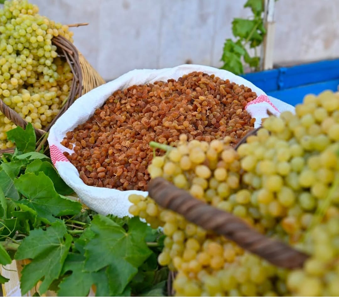 Kardeşler Tarım