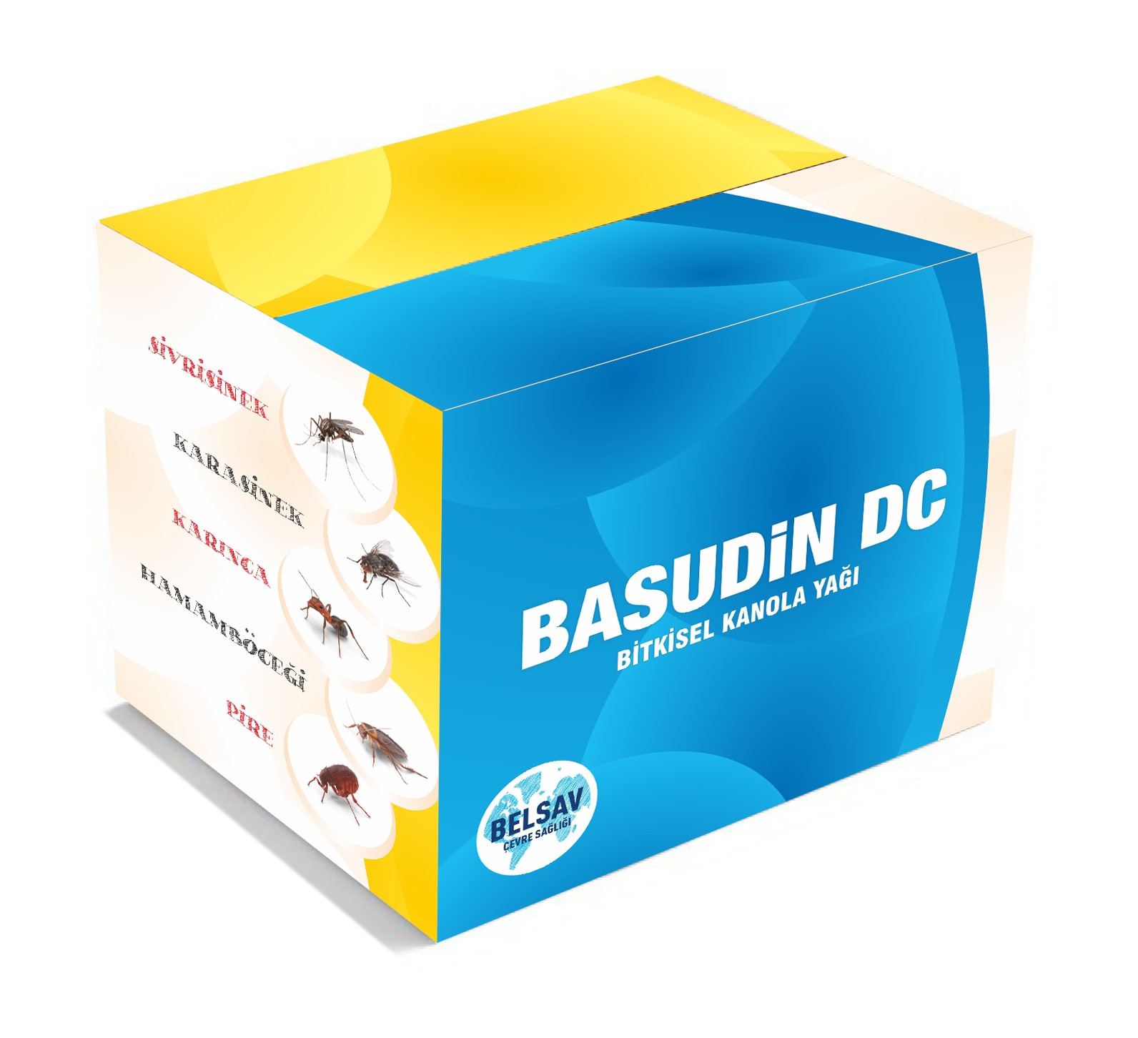 Başkent Kutu Koli