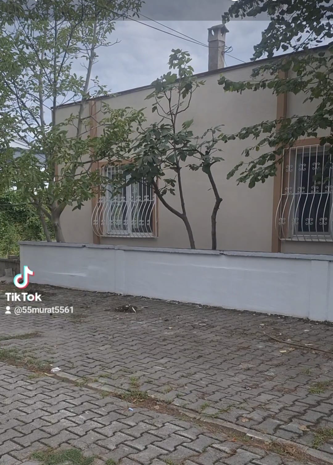 Arslan Çatı İzolasyon