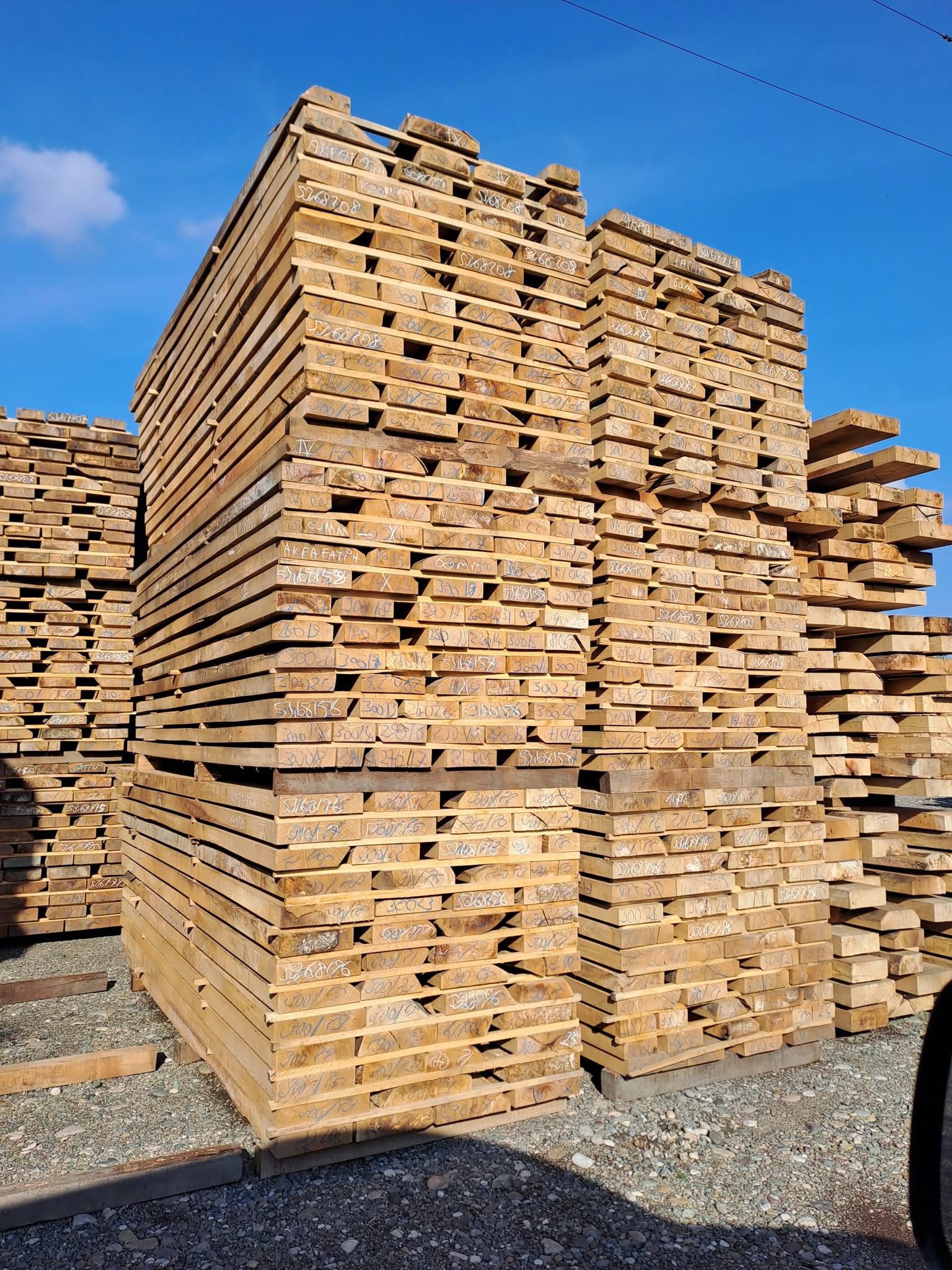 Ceyhun Orman Ürünleri