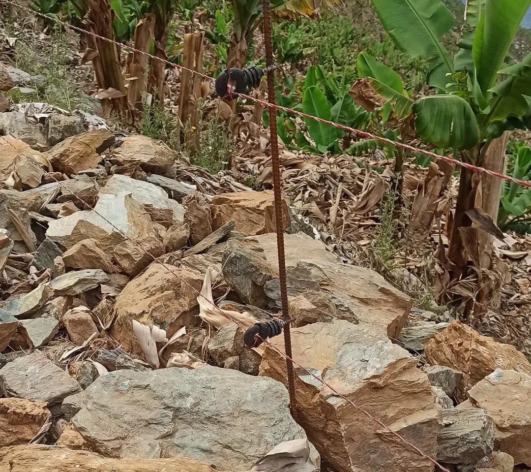 Karabulut Elektronik