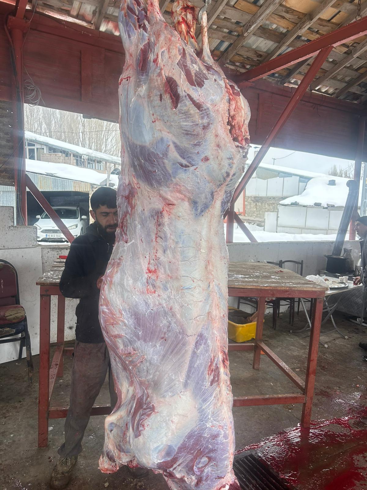 Kanarya Hayvancılık