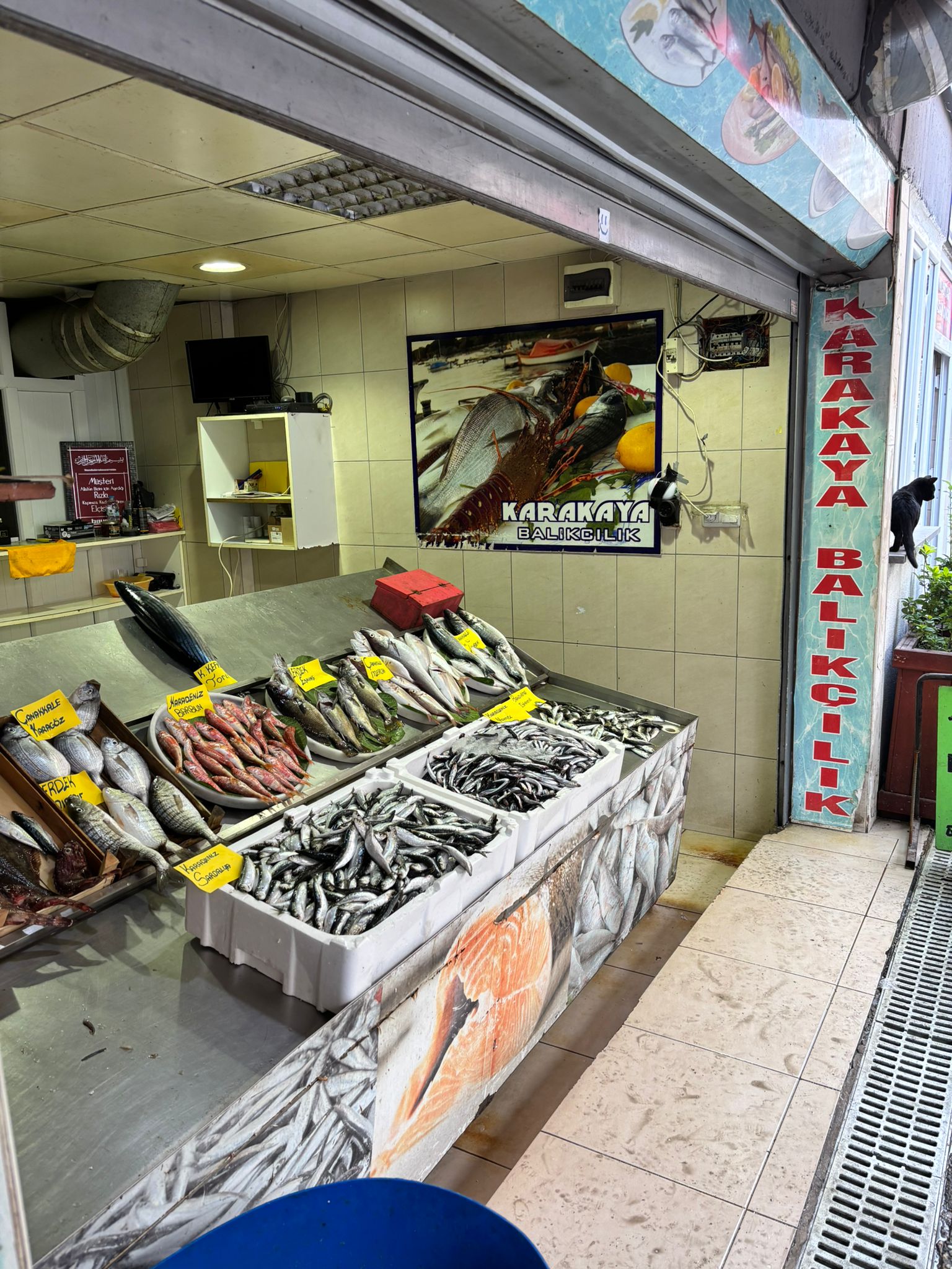 Karakaya Balıkçılık