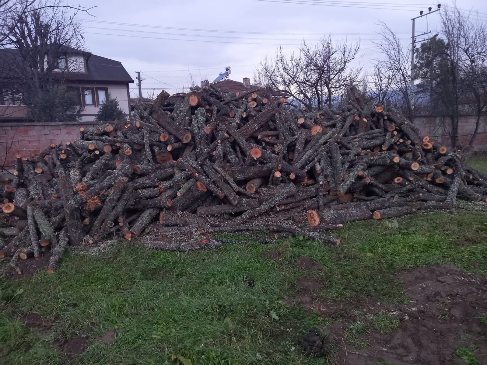 Kaya Orman Ürünleri