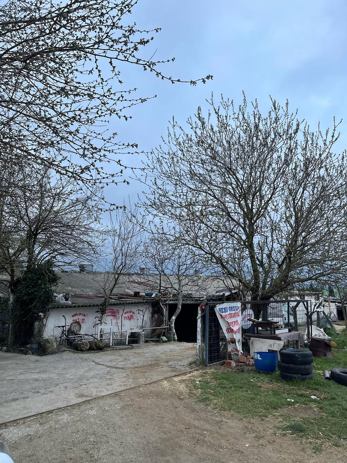Resul Çiftlik Adaklık ve Kurbanlık