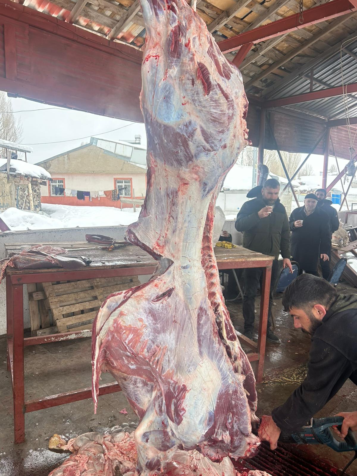 Kanarya Hayvancılık