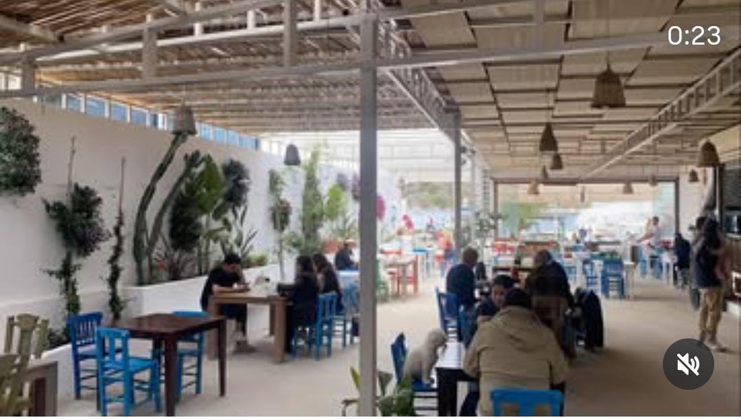 Yalı Cafee