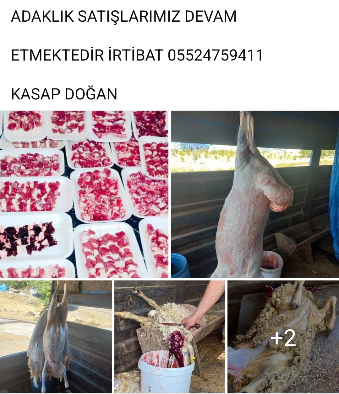 Kasap Doğan