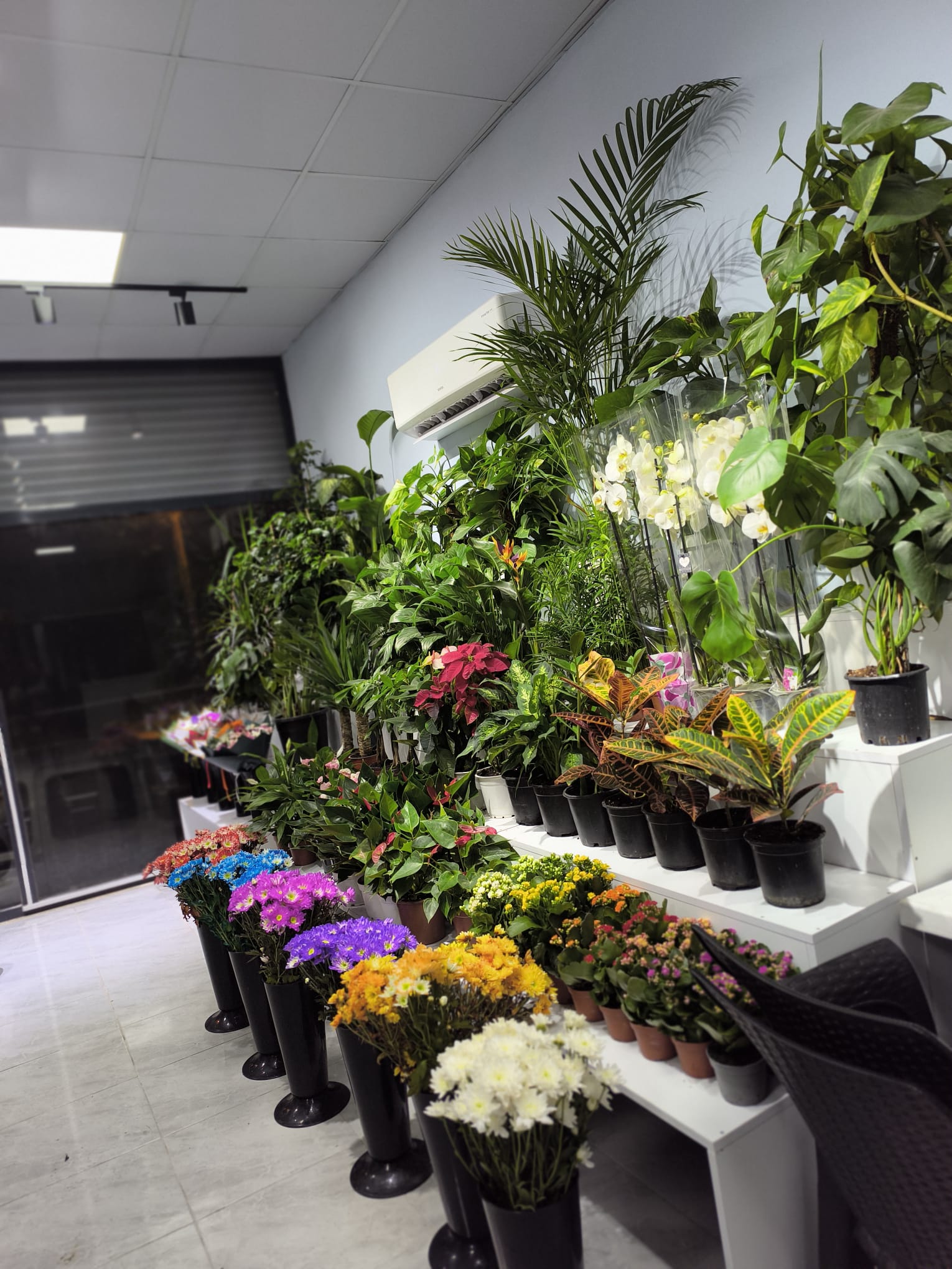 Ülküm Çiçekçilik