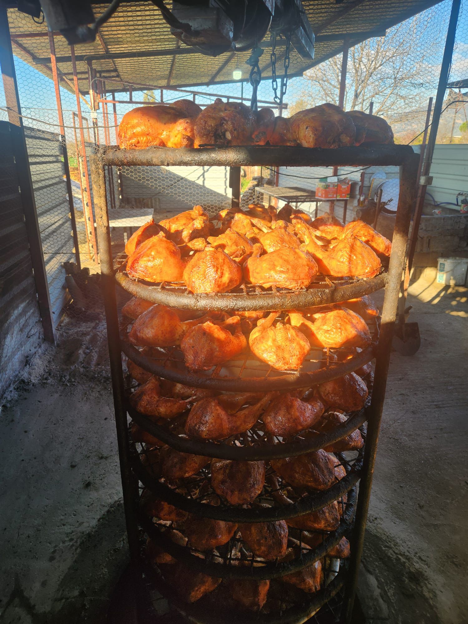 Gurme Kuyuda Tavuk Tandır