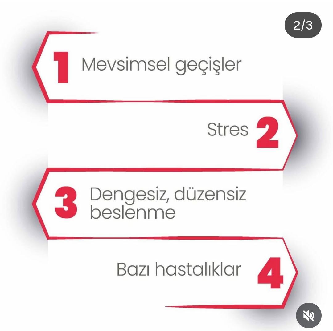 Yem Dünyası