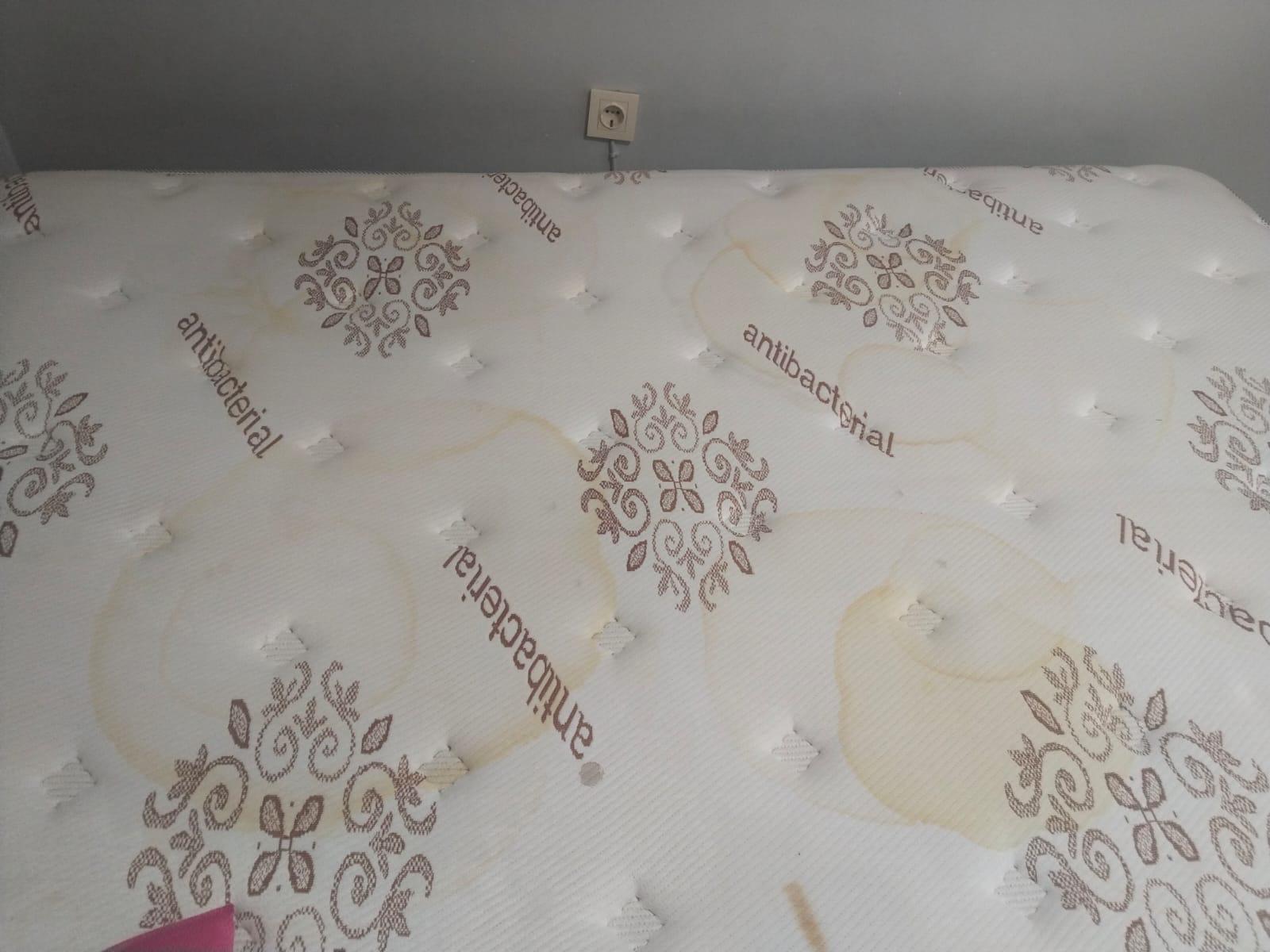 Çınar Buharlı Yıkama