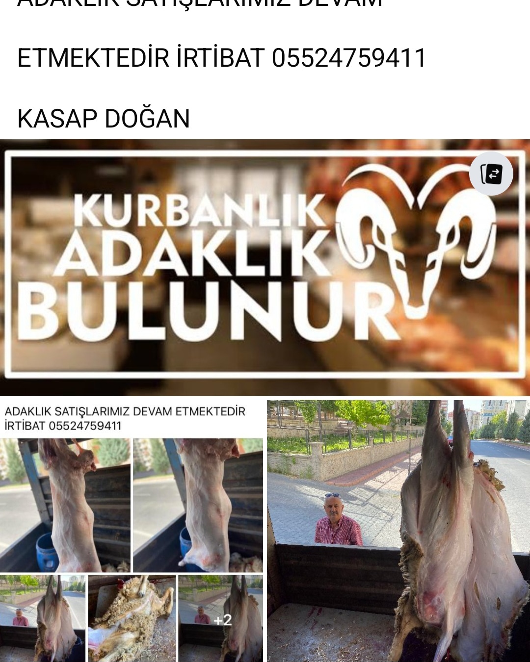 Kasap Doğan