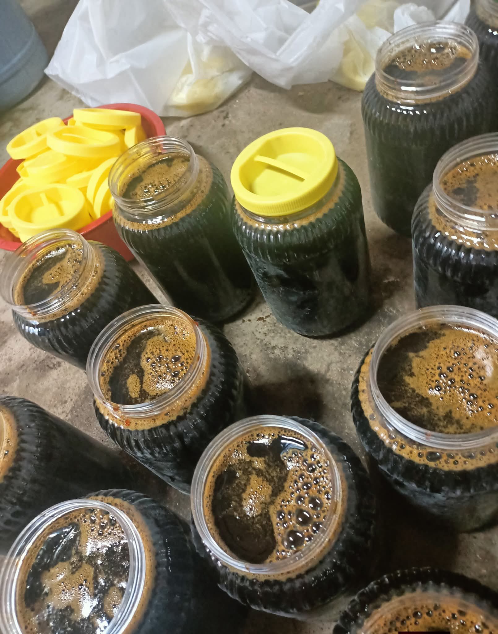 Nevşehir Ürgüp Toptan Pekmezci 