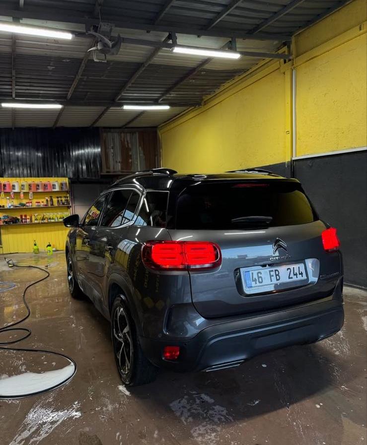 Buğday Detailing