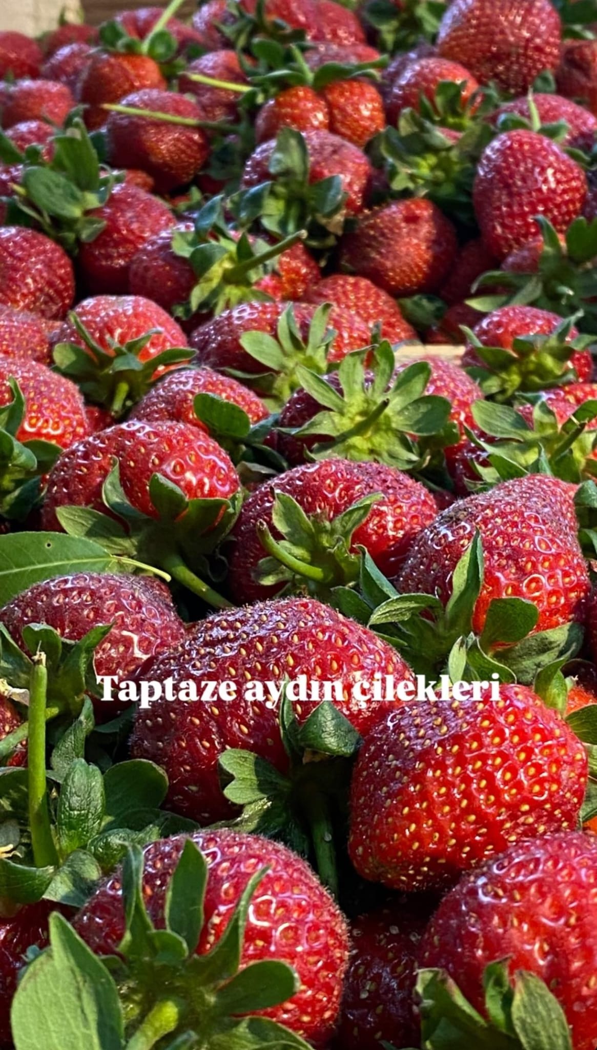 Köşe Manav