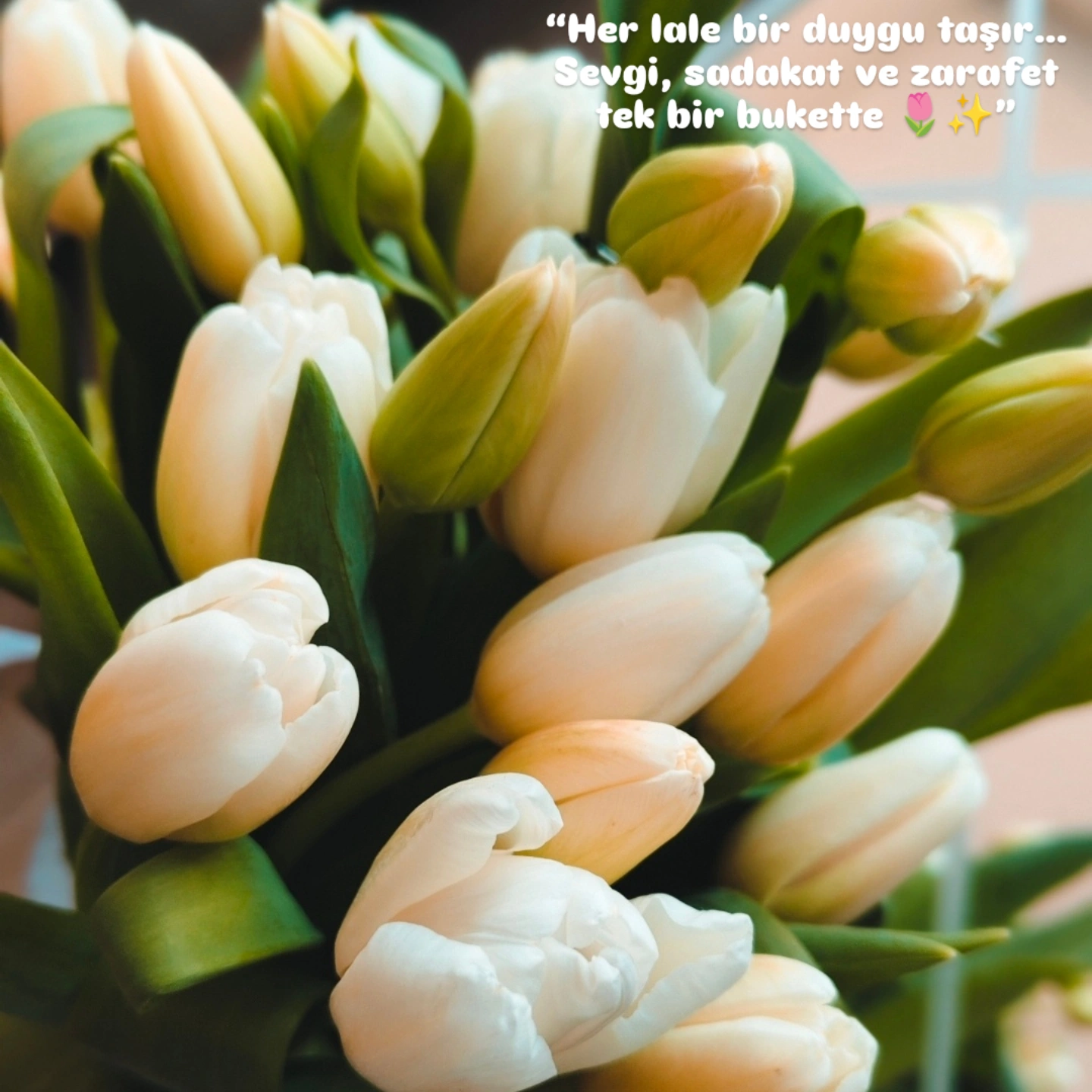 Last Rose Organizasyon ve Çiçek Evi