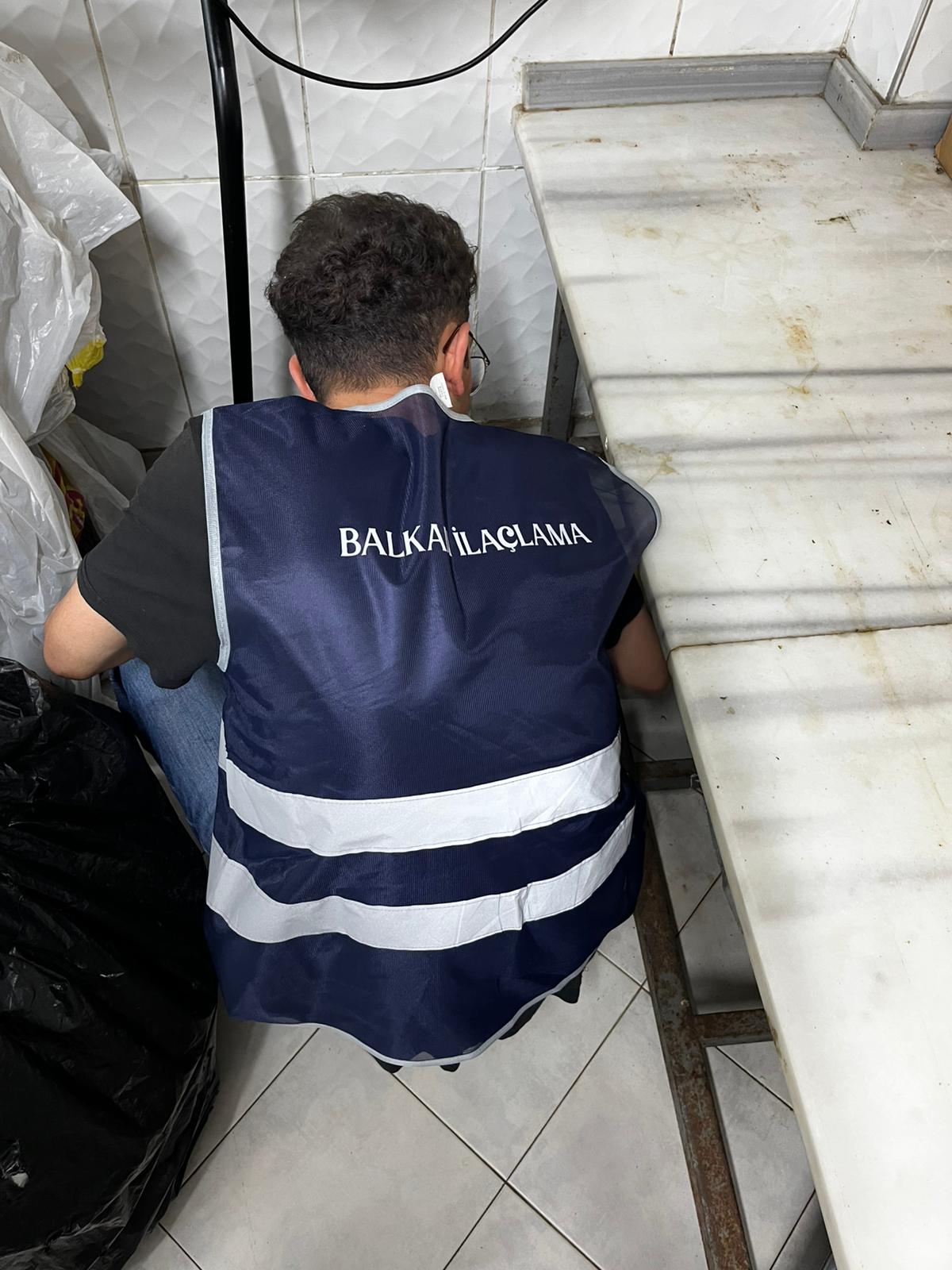 Balkan Haşere İlaçlama