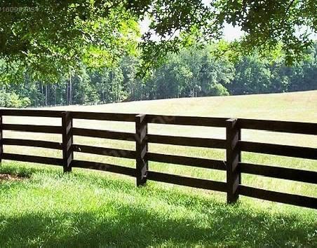 Ceyhun Orman Ürünleri