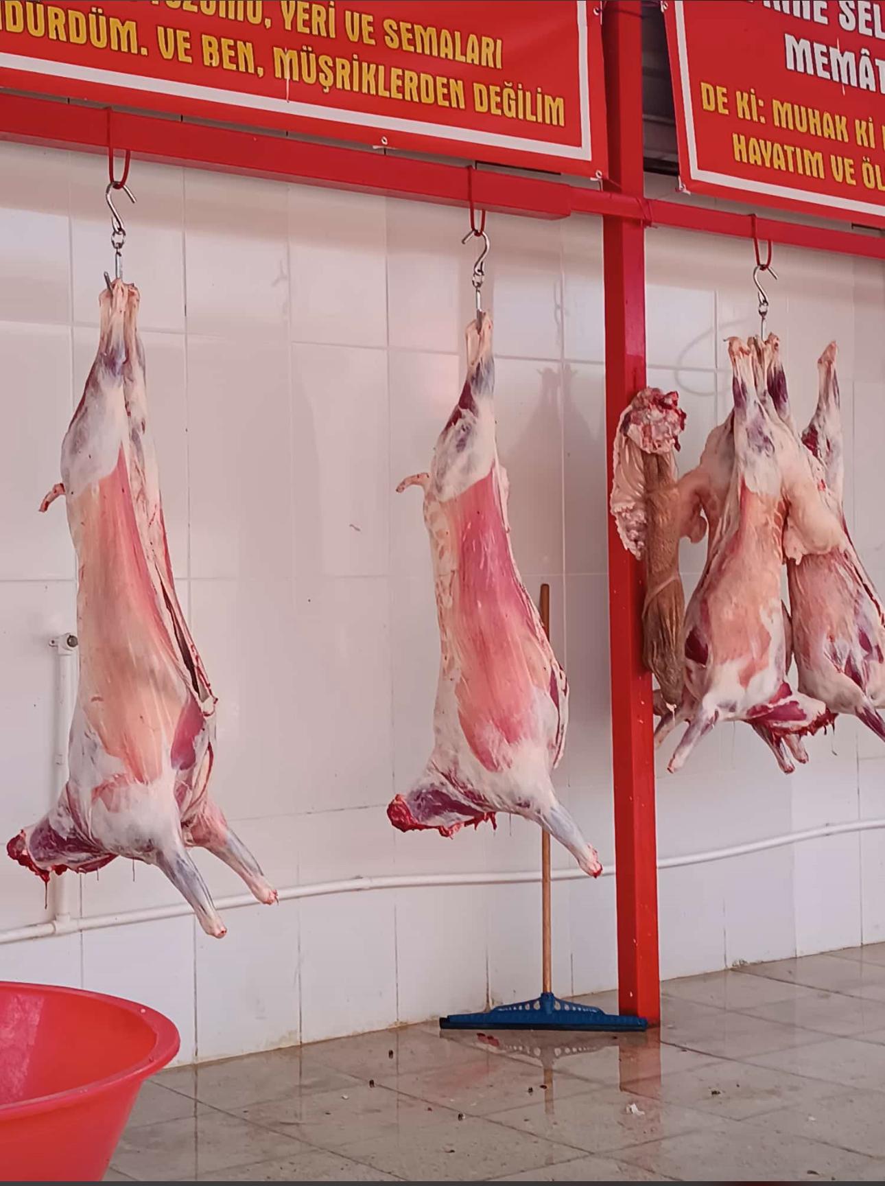 Diyarbakır Kurbanlık Adaklık Diyarı