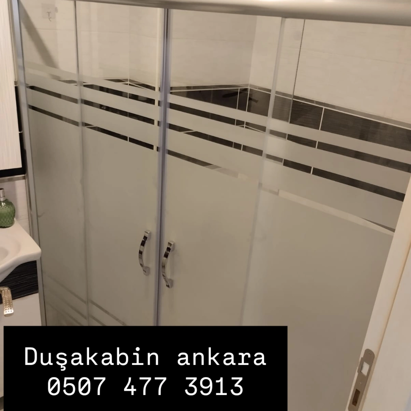 Alıcı Sineklik 