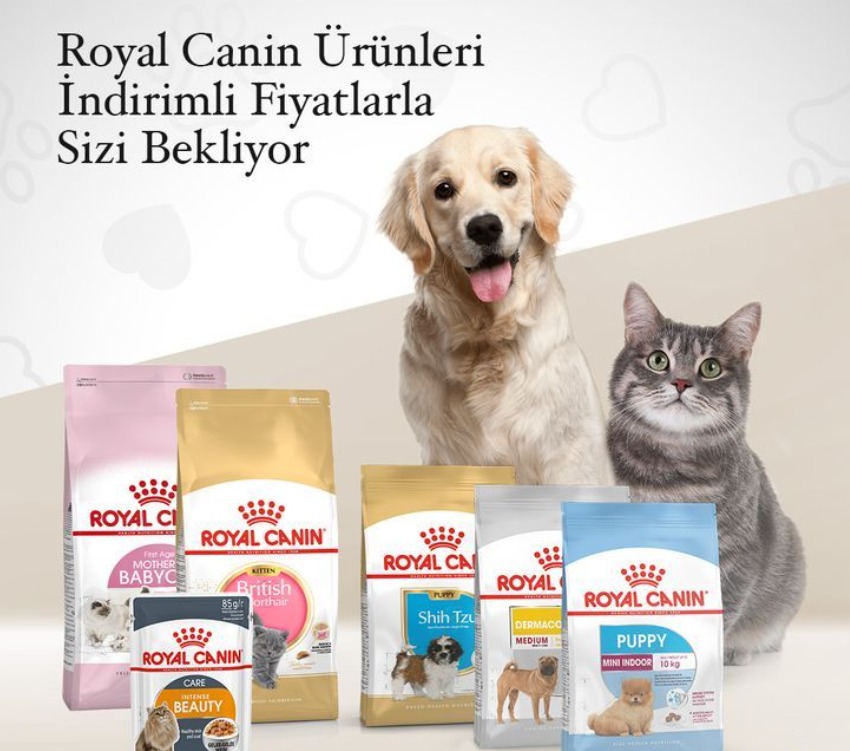 Kayın Pet Shop Pet Kuaför