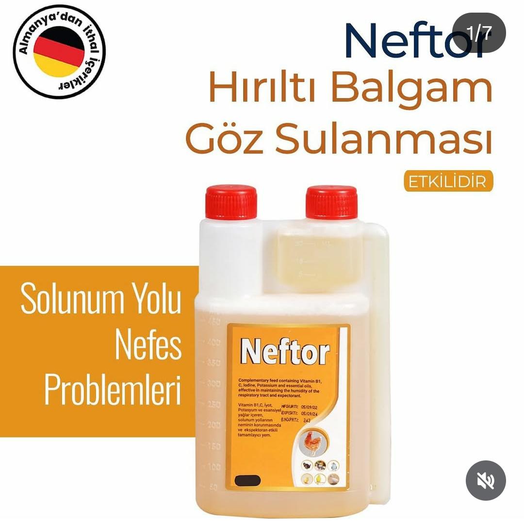 Yem Dünyası