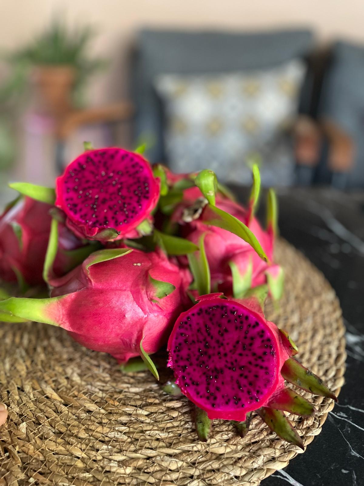 Zahidenin Tropikal Bahçesi 