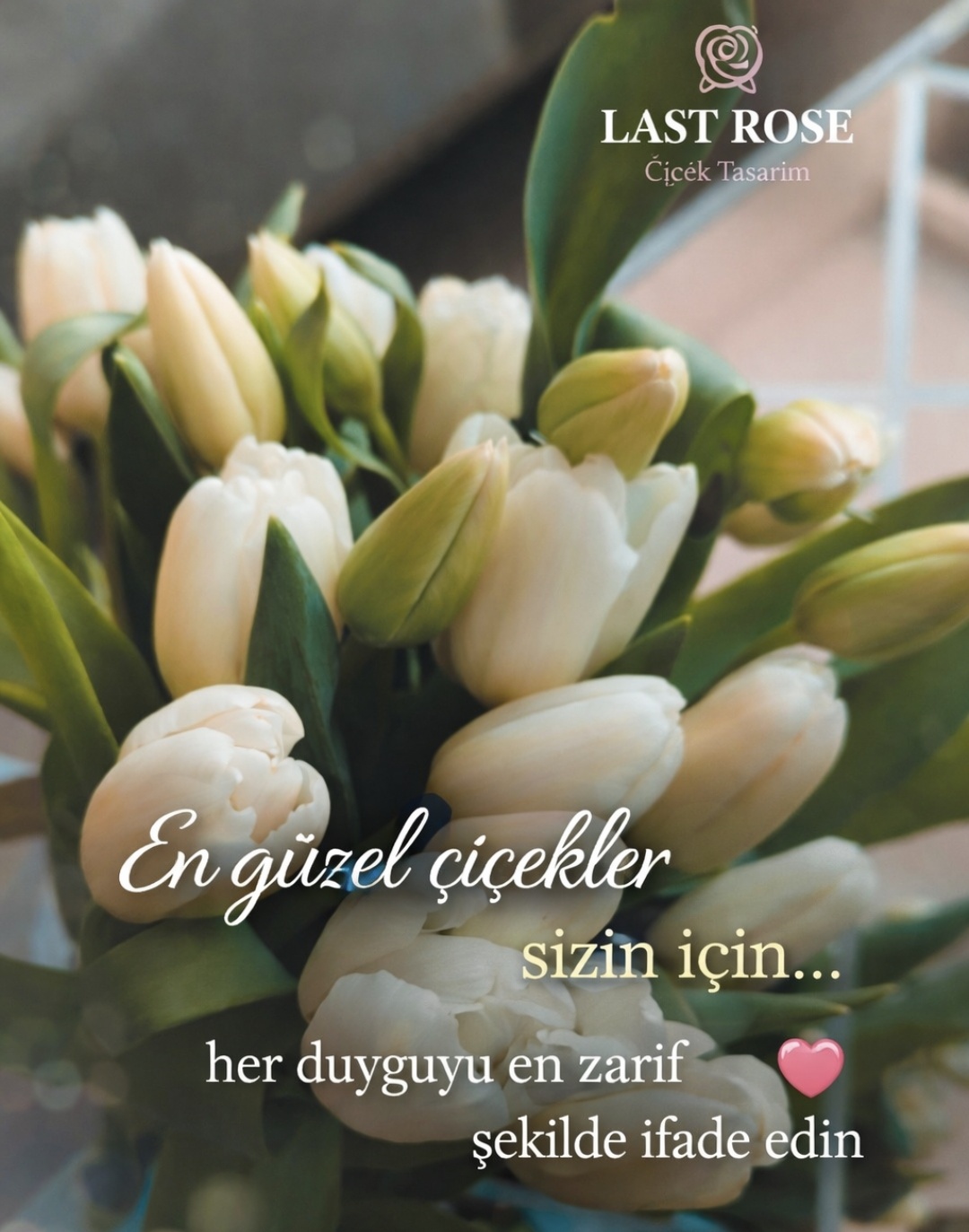 Last Rose Organizasyon ve Çiçek Evi