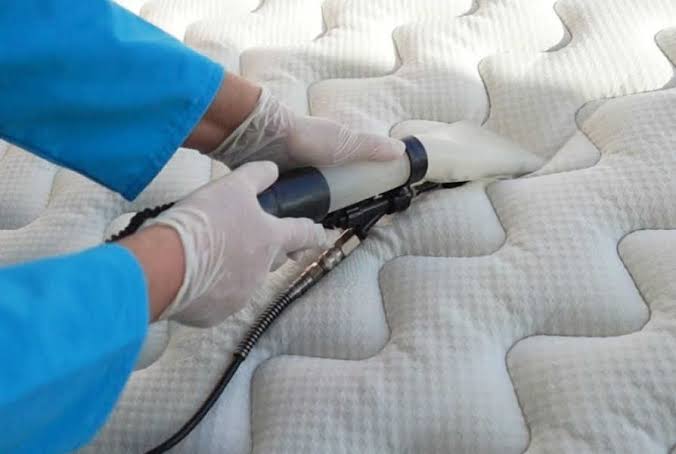 Royale Koltuk Yıkama