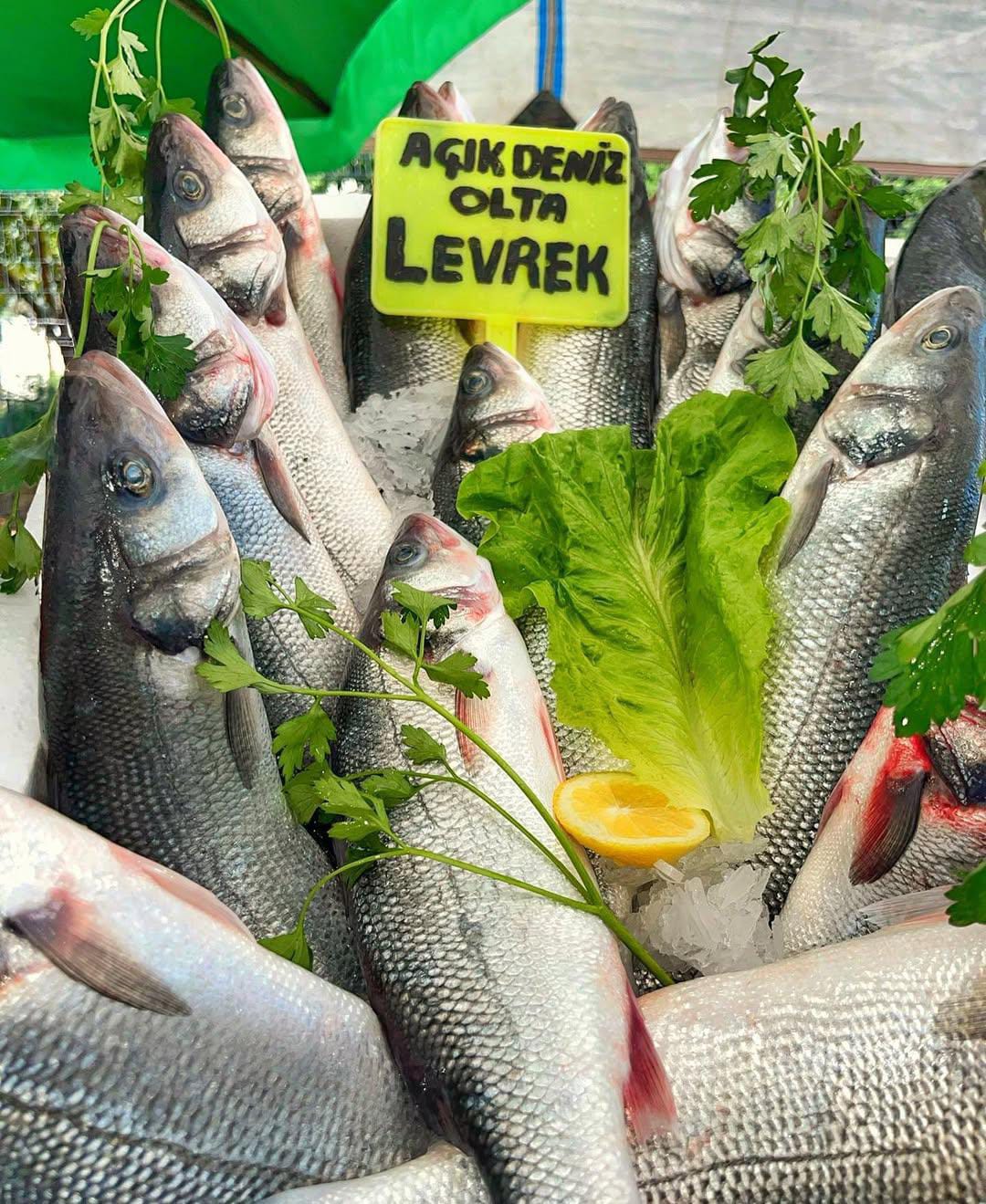 Denizz Balıkçılık