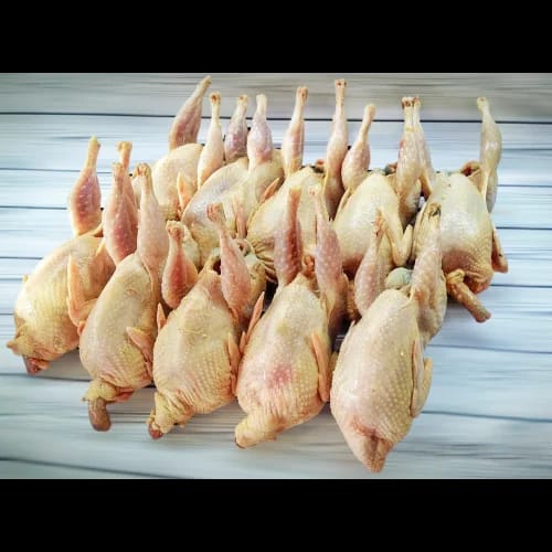 Özyay Hayvancılık